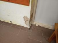 IMG_20240105_162038 (1024x768).jpg